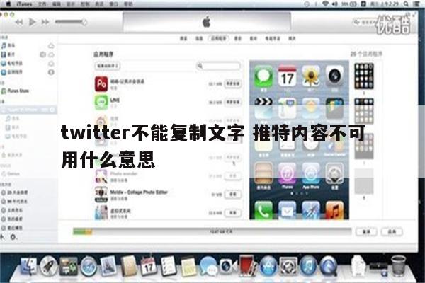 twitter不能复制文字 推特内容不可用什么意思