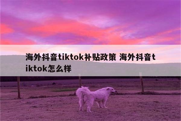 海外抖音tiktok补贴政策 海外抖音tiktok怎么样