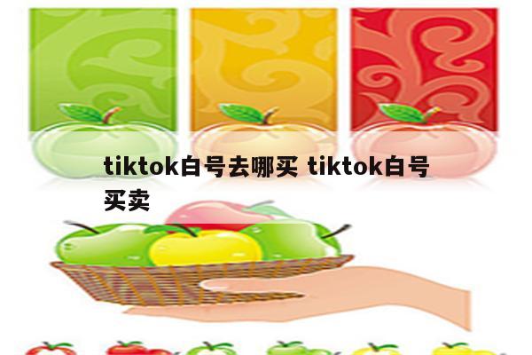 tiktok白号去哪买 tiktok白号买卖