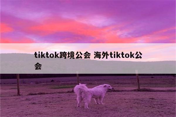 tiktok跨境公会 海外tiktok公会