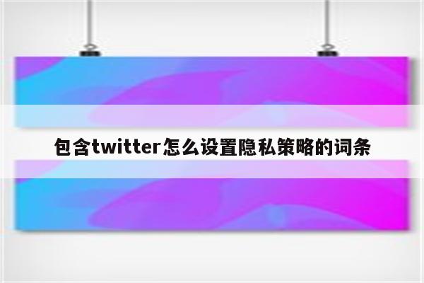 包含twitter怎么设置隐私策略的词条