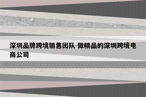 深圳品牌跨境销售团队 做精品的深圳跨境电商公司