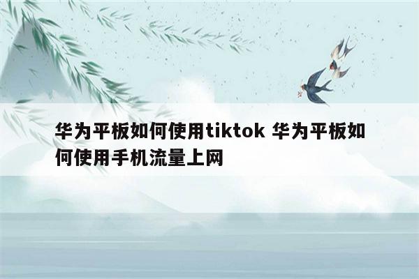 华为平板如何使用tiktok 华为平板如何使用手机流量上网