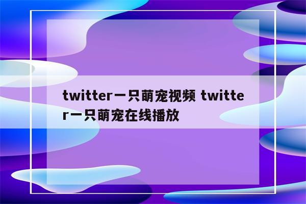 twitter一只萌宠视频 twitter一只萌宠在线播放