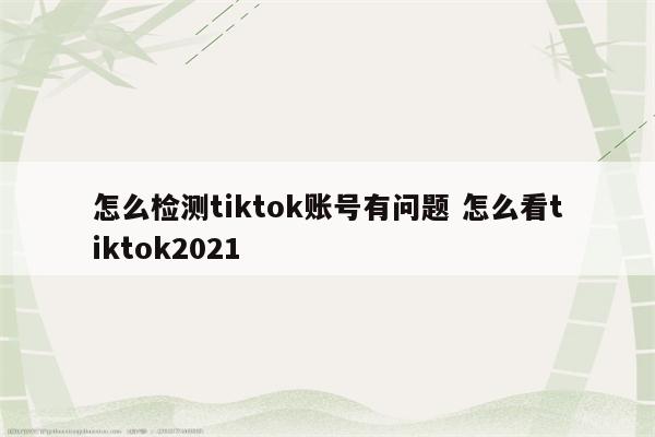 怎么检测tiktok账号有问题 怎么看tiktok2021