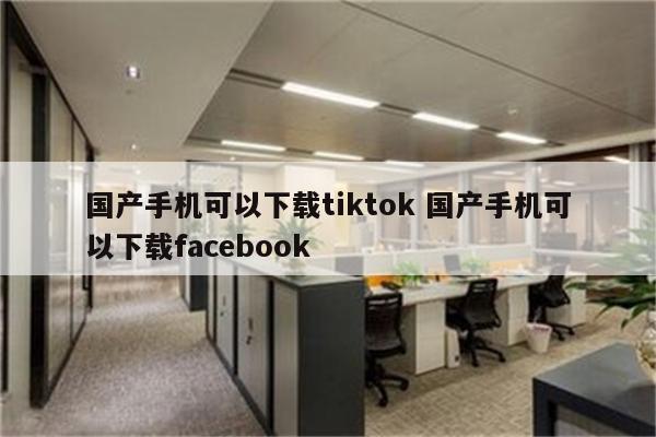 国产手机可以下载tiktok 国产手机可以下载facebook