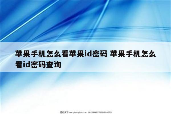 苹果手机怎么看苹果id密码 苹果手机怎么看id密码查询