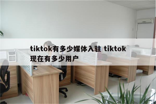 tiktok有多少媒体入驻 tiktok现在有多少用户