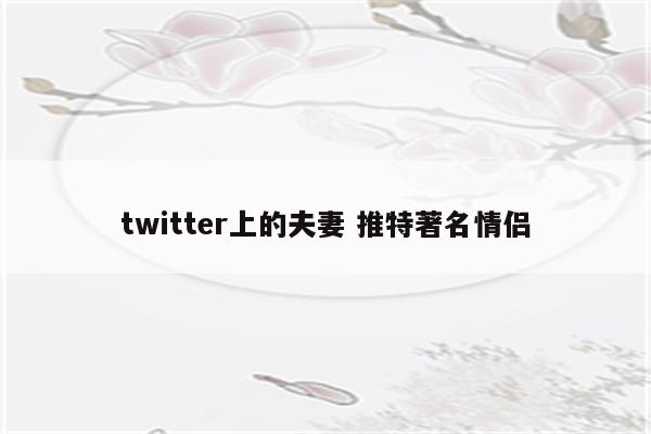 twitter上的夫妻 推特著名情侣