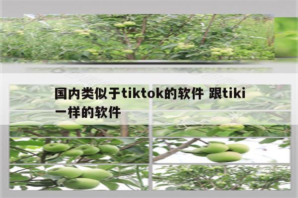 国内类似于tiktok的软件 跟tiki一样的软件