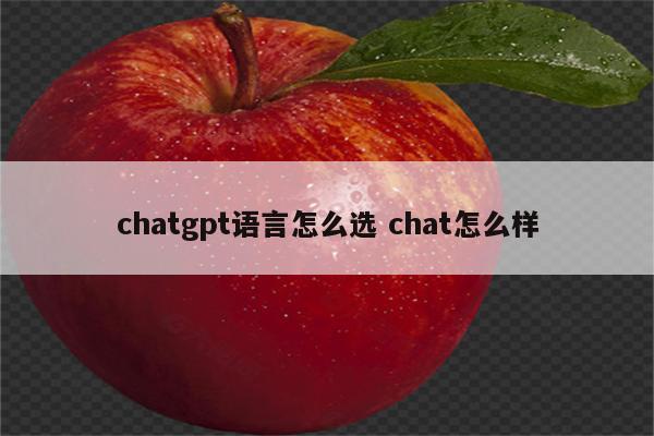 chatgpt语言怎么选 chat怎么样