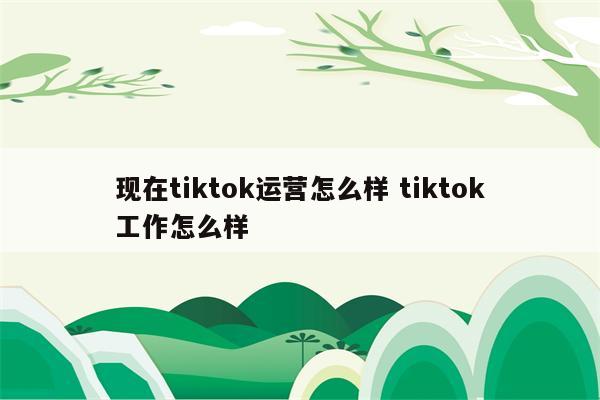 现在tiktok运营怎么样 tiktok工作怎么样