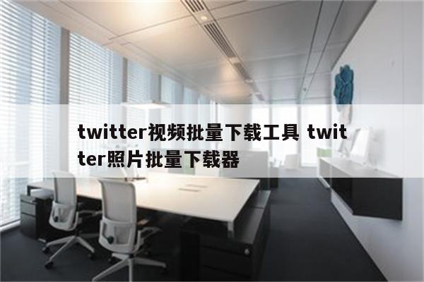 twitter视频批量下载工具 twitter照片批量下载器