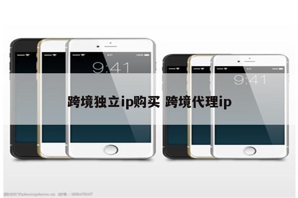 跨境独立ip购买 跨境代理ip