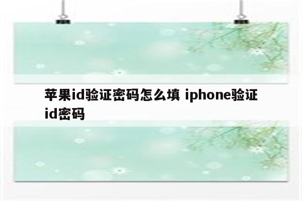 苹果id验证密码怎么填 iphone验证id密码