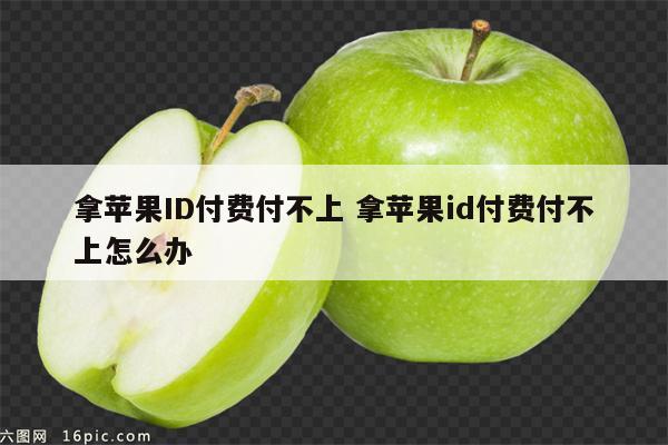 拿苹果ID付费付不上 拿苹果id付费付不上怎么办