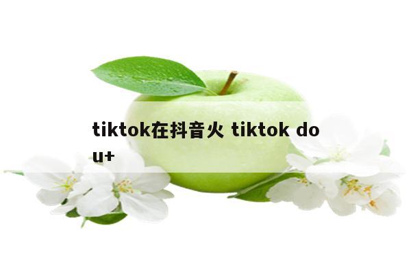 tiktok在抖音火 tiktok dou+