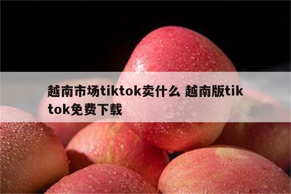 越南市场tiktok卖什么 越南版tiktok免费下载