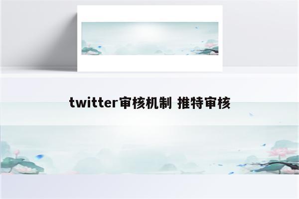 twitter审核机制 推特审核