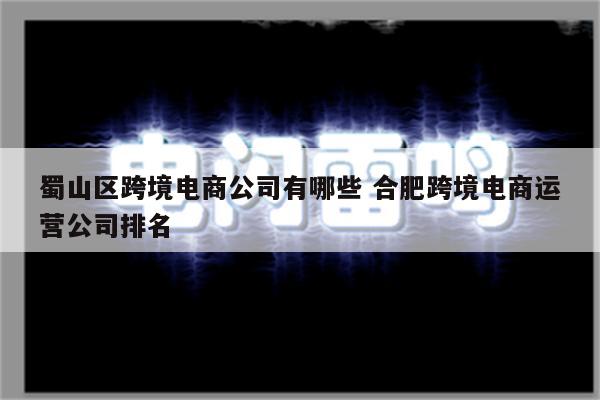 蜀山区跨境电商公司有哪些 合肥跨境电商运营公司排名