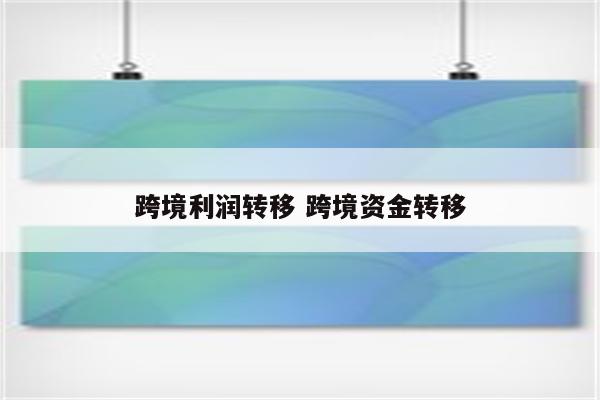 跨境利润转移 跨境资金转移