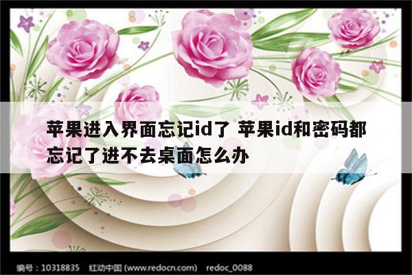 苹果进入界面忘记id了 苹果id和密码都忘记了进不去桌面怎么办