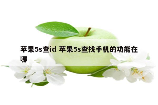 苹果5s查id 苹果5s查找手机的功能在哪