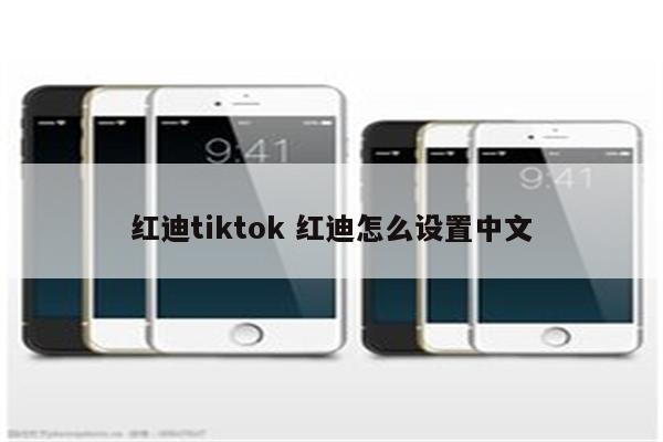 红迪tiktok 红迪怎么设置中文