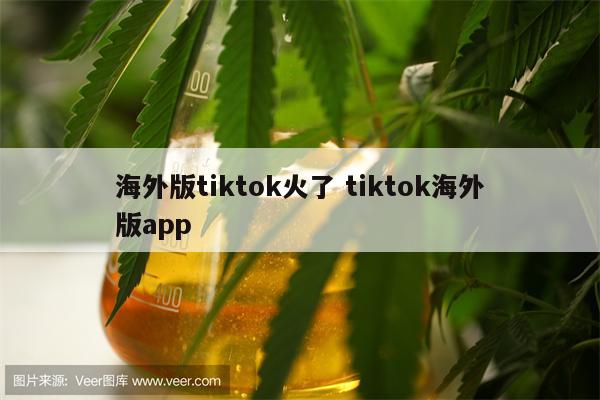 海外版tiktok火了 tiktok海外版app