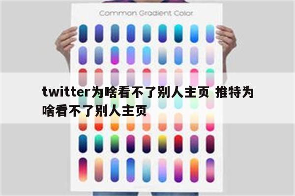 twitter为啥看不了别人主页 推特为啥看不了别人主页