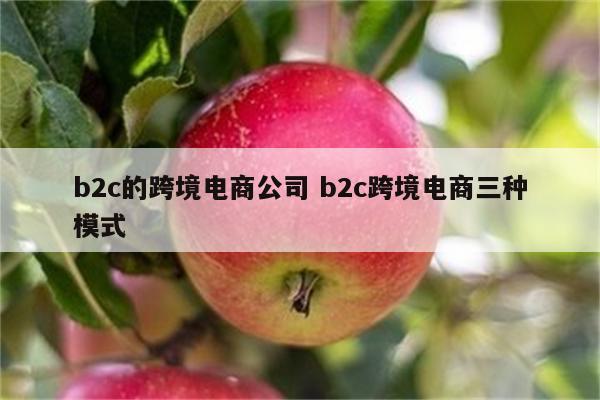 b2c的跨境电商公司 b2c跨境电商三种模式