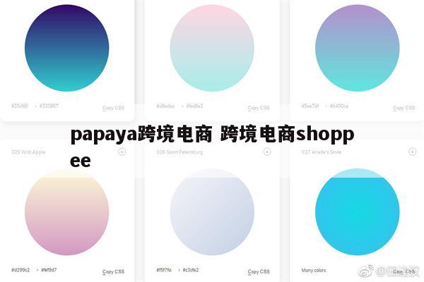 papaya跨境电商 跨境电商shoppee