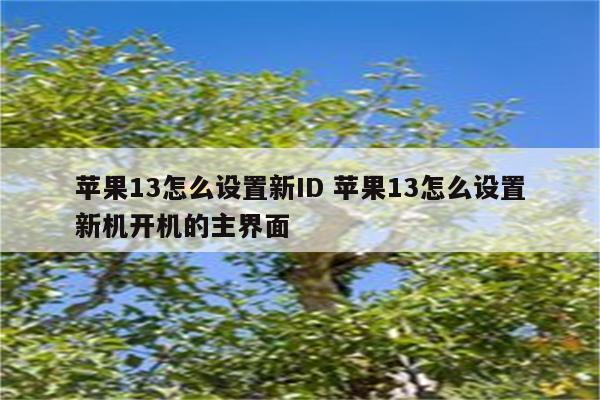 苹果13怎么设置新ID 苹果13怎么设置新机开机的主界面