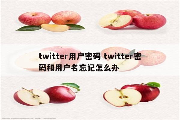 twitter用户密码 twitter密码和用户名忘记怎么办