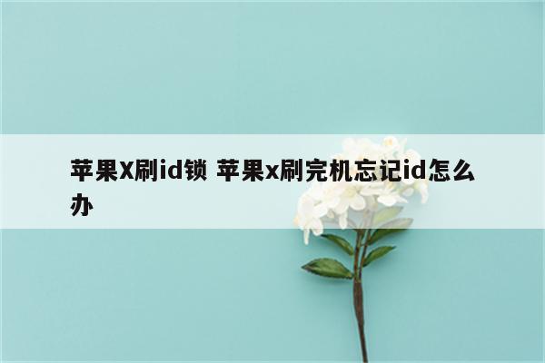 苹果X刷id锁 苹果x刷完机忘记id怎么办