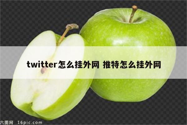 twitter怎么挂外网 推特怎么挂外网