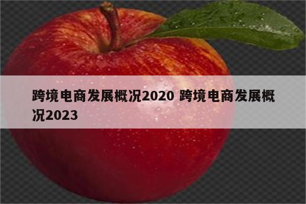 跨境电商发展概况2020 跨境电商发展概况2023