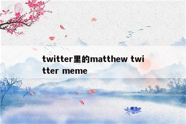 twitter里的matthew twitter meme