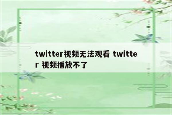 twitter视频无法观看 twitter 视频播放不了