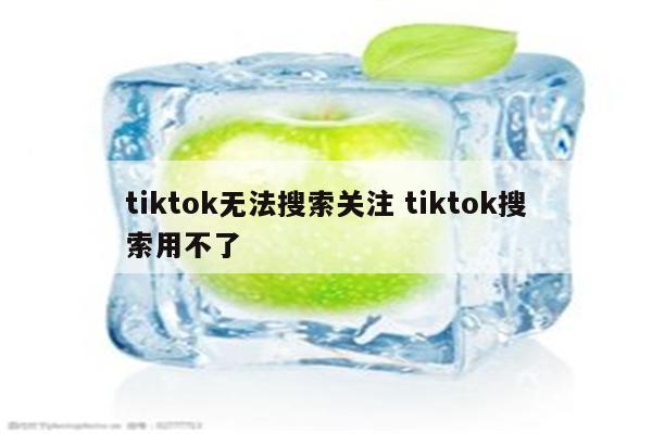 tiktok无法搜索关注 tiktok搜索用不了