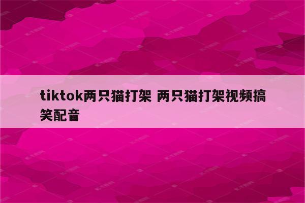 tiktok两只猫打架 两只猫打架视频搞笑配音