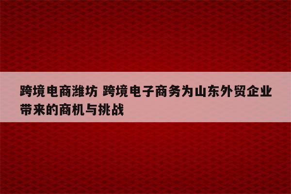 跨境电商潍坊 跨境电子商务为山东外贸企业带来的商机与挑战