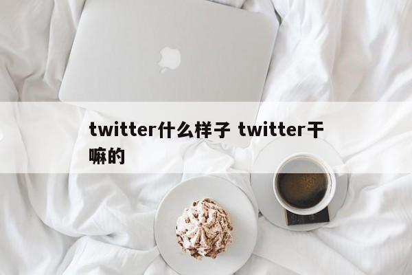 twitter什么样子 twitter干嘛的