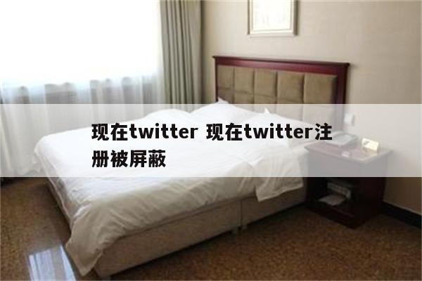 现在twitter 现在twitter注册被屏蔽