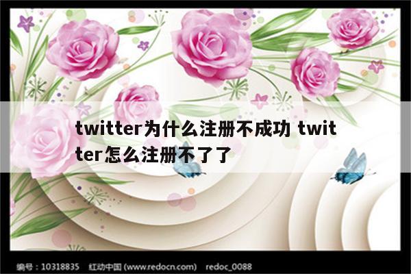 twitter为什么注册不成功 twitter怎么注册不了了