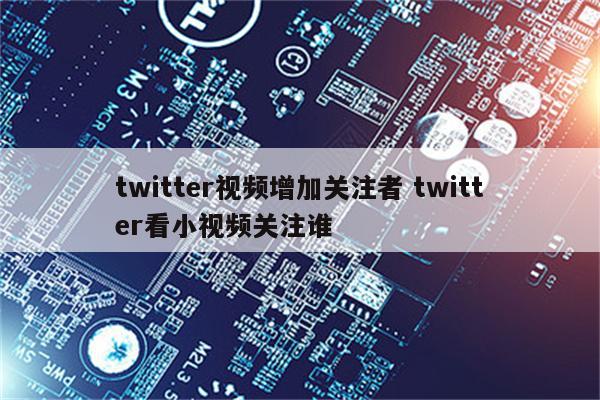 twitter视频增加关注者 twitter看小视频关注谁