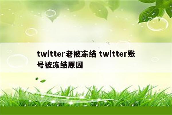 twitter老被冻结 twitter账号被冻结原因