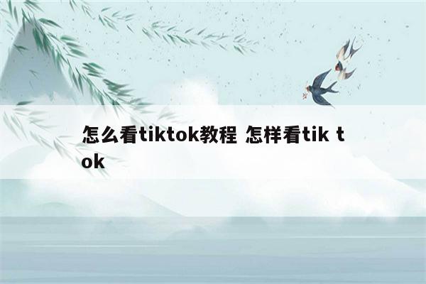 怎么看tiktok教程 怎样看tik tok