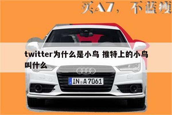 twitter为什么是小鸟 推特上的小鸟叫什么