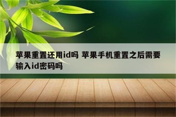 苹果重置还用id吗 苹果手机重置之后需要输入id密码吗